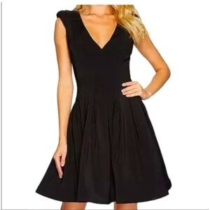 HALSTON HERITAGE Black Pleated Fit-and-Flare Dress, Size 2